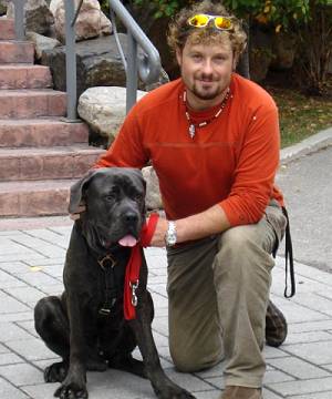 padded harness for dog leather