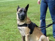 All Weather dog harness for tracking / pulling Designed to fit Malinois