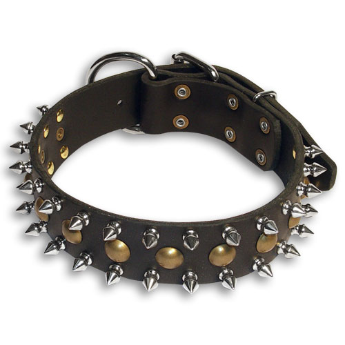 dog collar