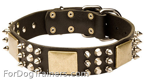 Excusive Spiked and Studded Leather Dog Collar with Massive Plates