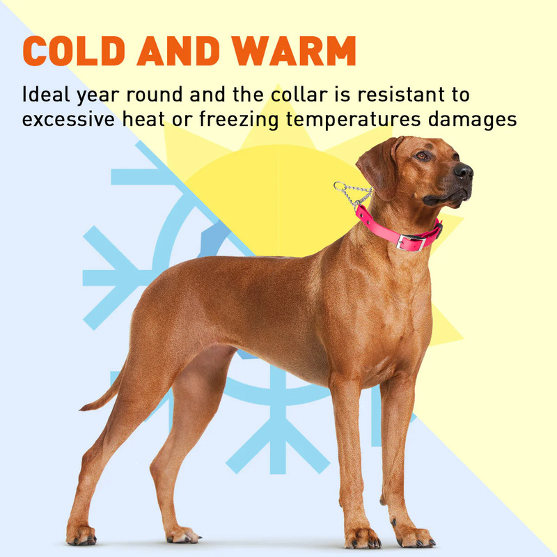 Biothane Martingale Collar with Metal Buckle