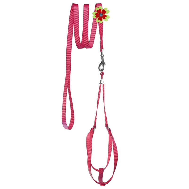 Step-In Nylon Harness + Optional Flower Leash