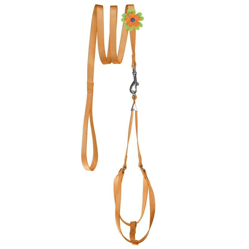 Step-In Nylon Harness + Optional Flower Leash