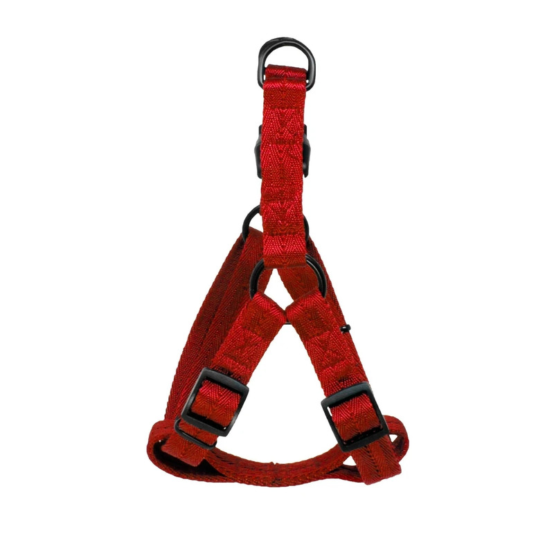 Flat Nylon Harness