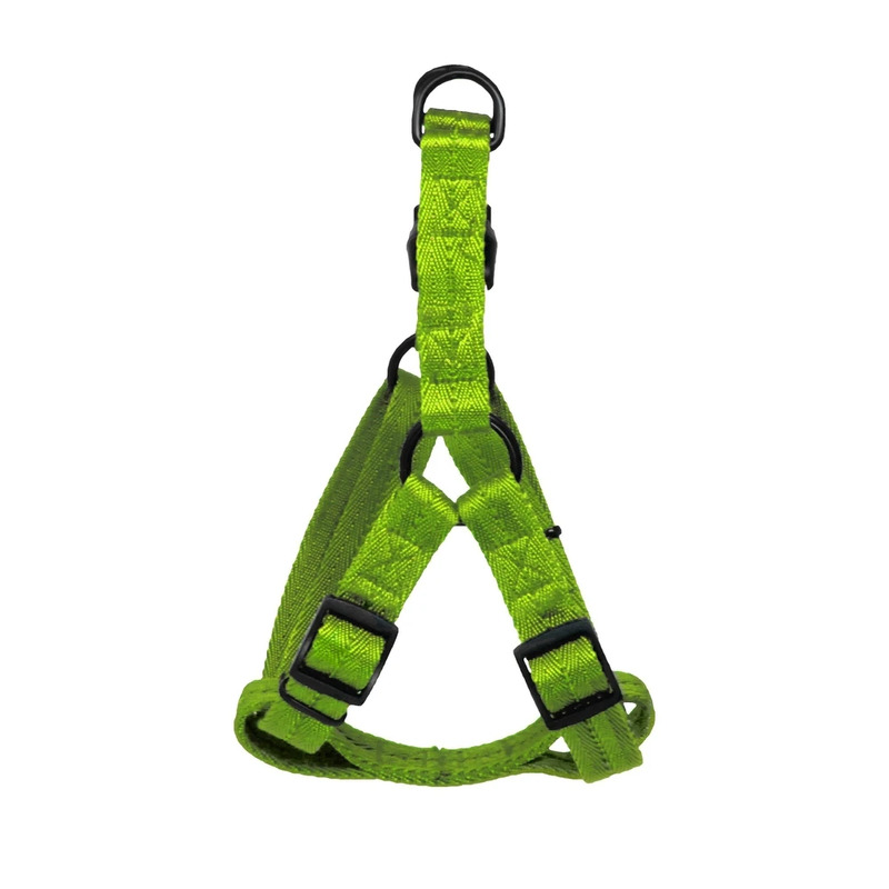 Flat Nylon Harness