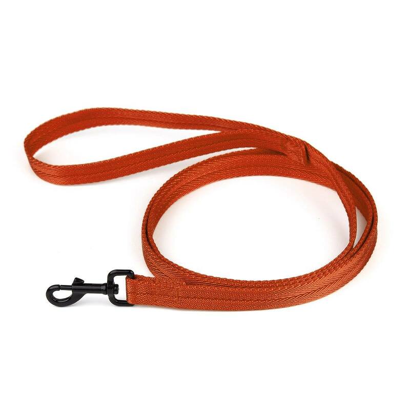 Nylon Traffic Leash