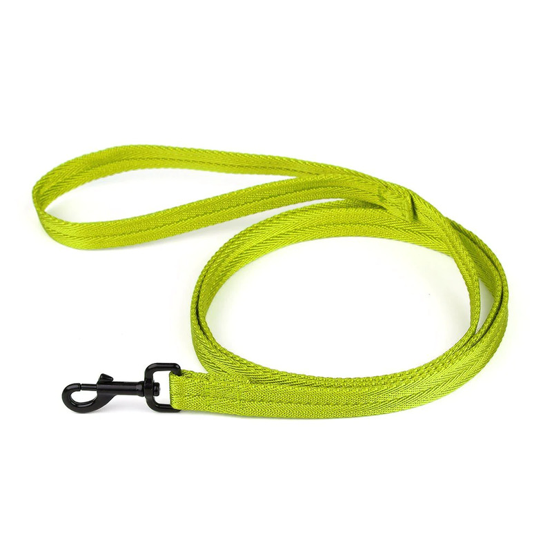 Nylon Traffic Leash