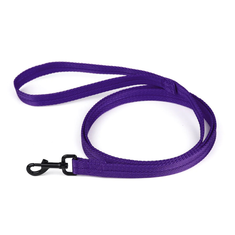 Nylon Traffic Leash