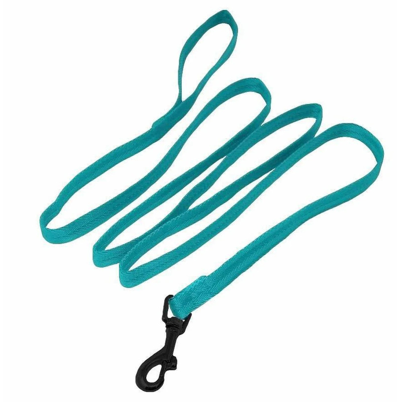 Nylon Leash