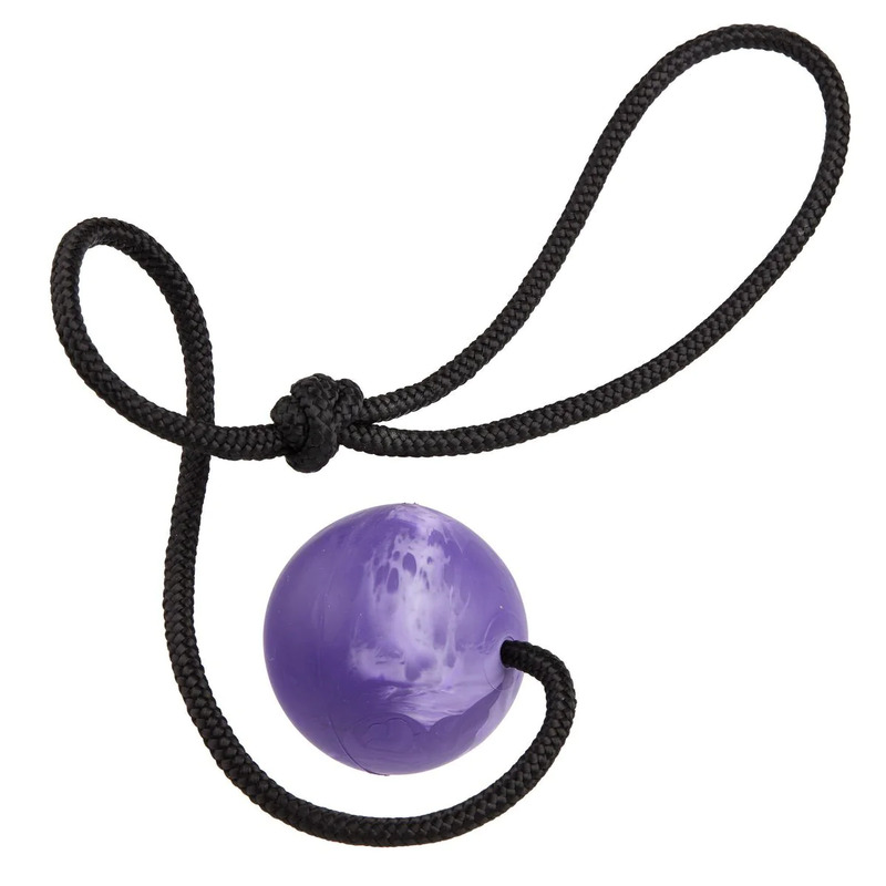 Dogline Euro Ball on Rope