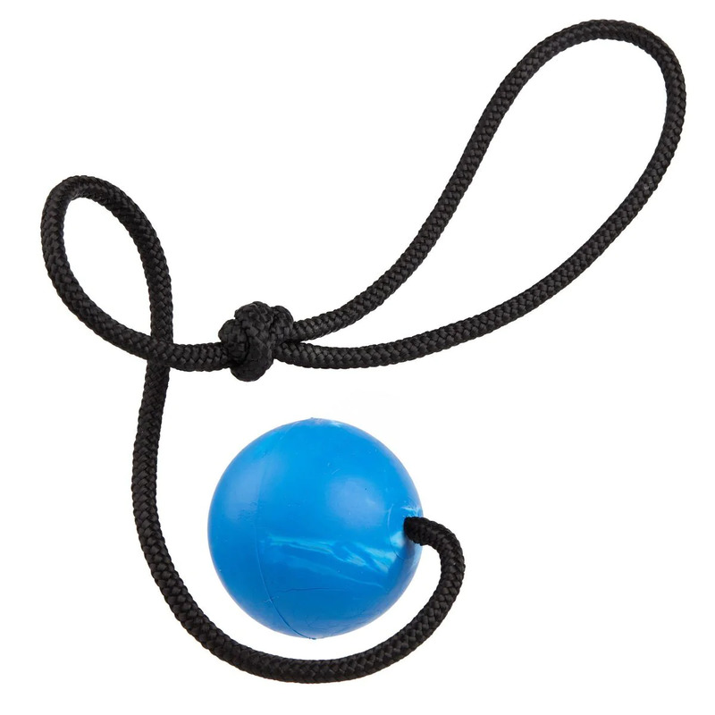 Dogline Euro Ball on Rope