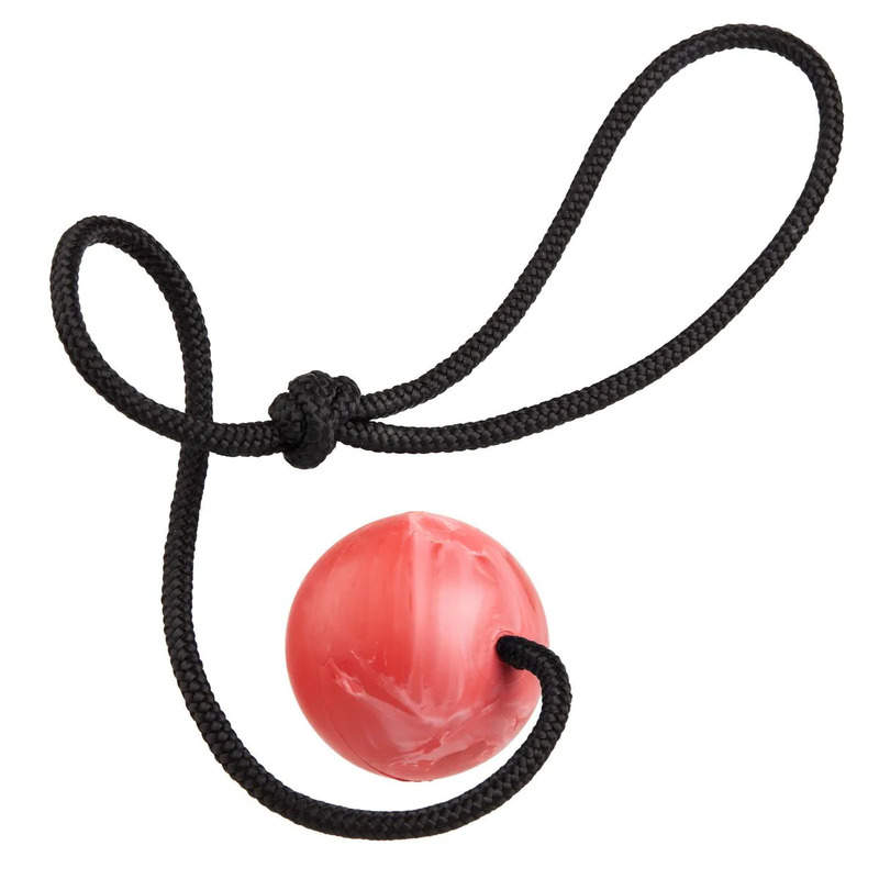 Dogline Euro Ball on Rope