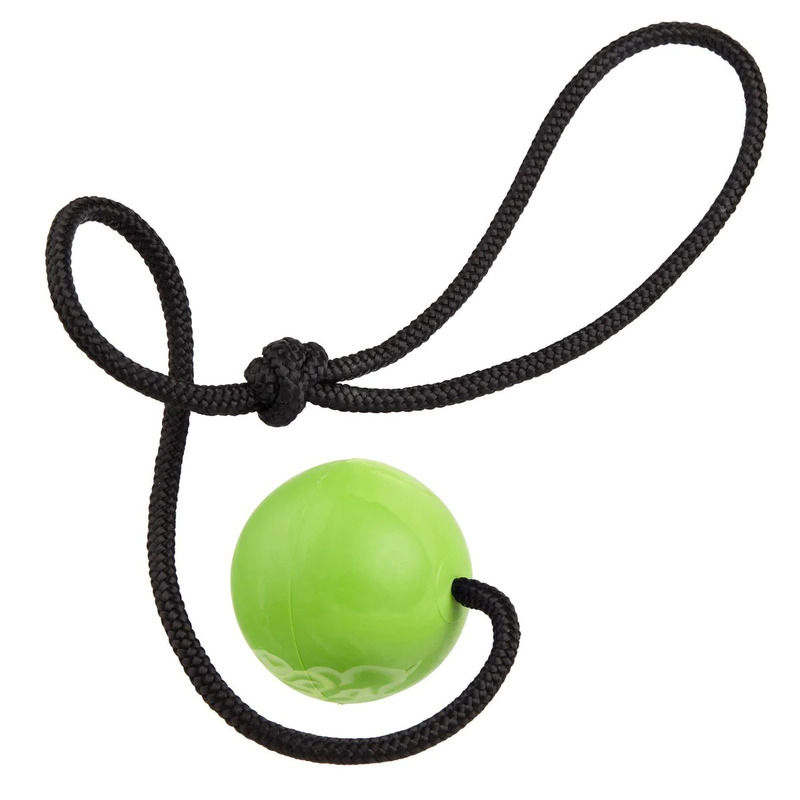 Dogline Euro Ball on Rope