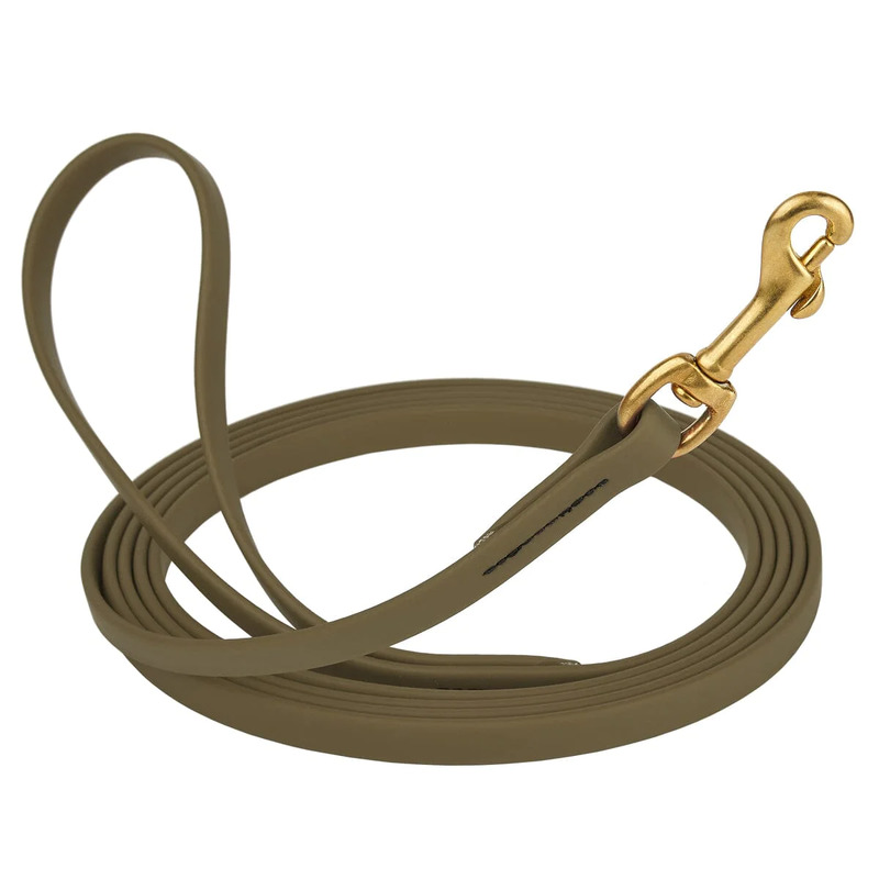 Biothane Leash 10 ft w/ Brass Hardware