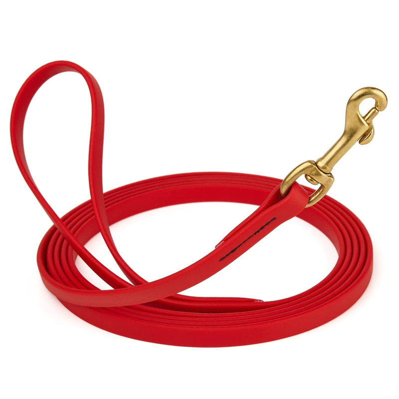 Biothane Leash 10 ft w/ Brass Hardware