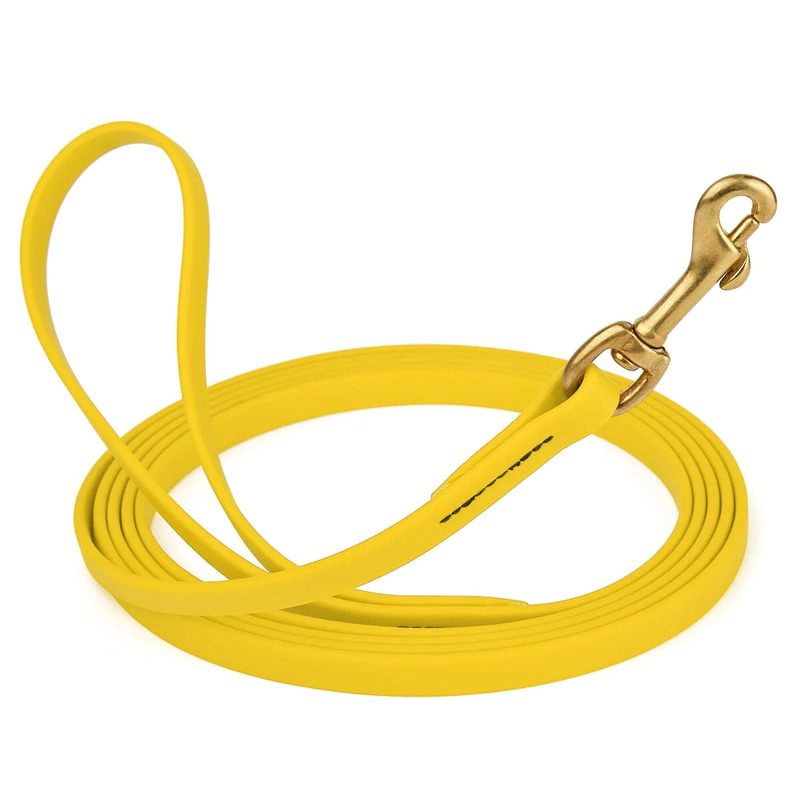 Biothane Leash 10 ft w/ Brass Hardware