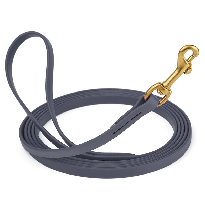 Biothane Leash 10 ft w/ Brass Hardware