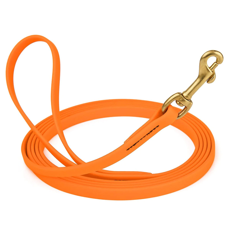 Biothane Leash 10 ft w/ Brass Hardware