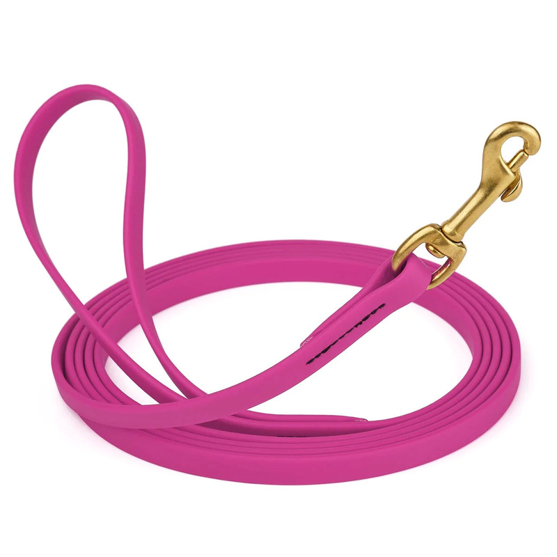 Biothane Leash 10 ft w/ Brass Hardware