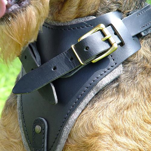 Professional Leather Dog Harness for Agitation Training and Comfortable for Walking