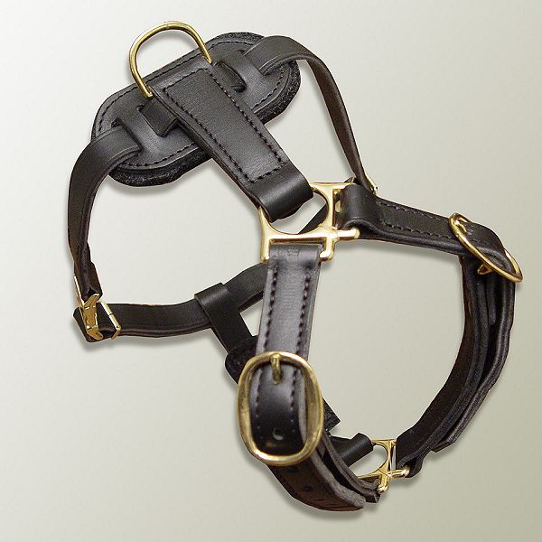 Professional Leather Dog Harness for Agitation Training and Comfortable for Walking