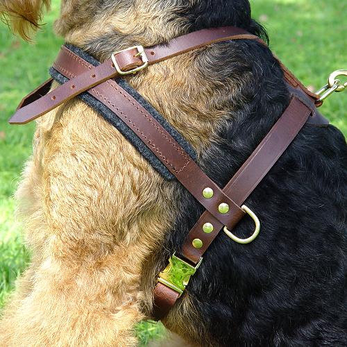 Strong Dog Harness for Attack Training and Daily Walking